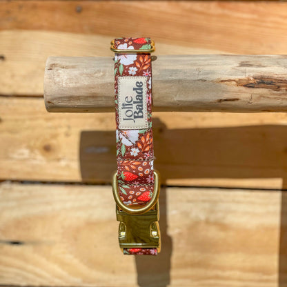 🐶 Collier "FRAISES DES BOIS"
