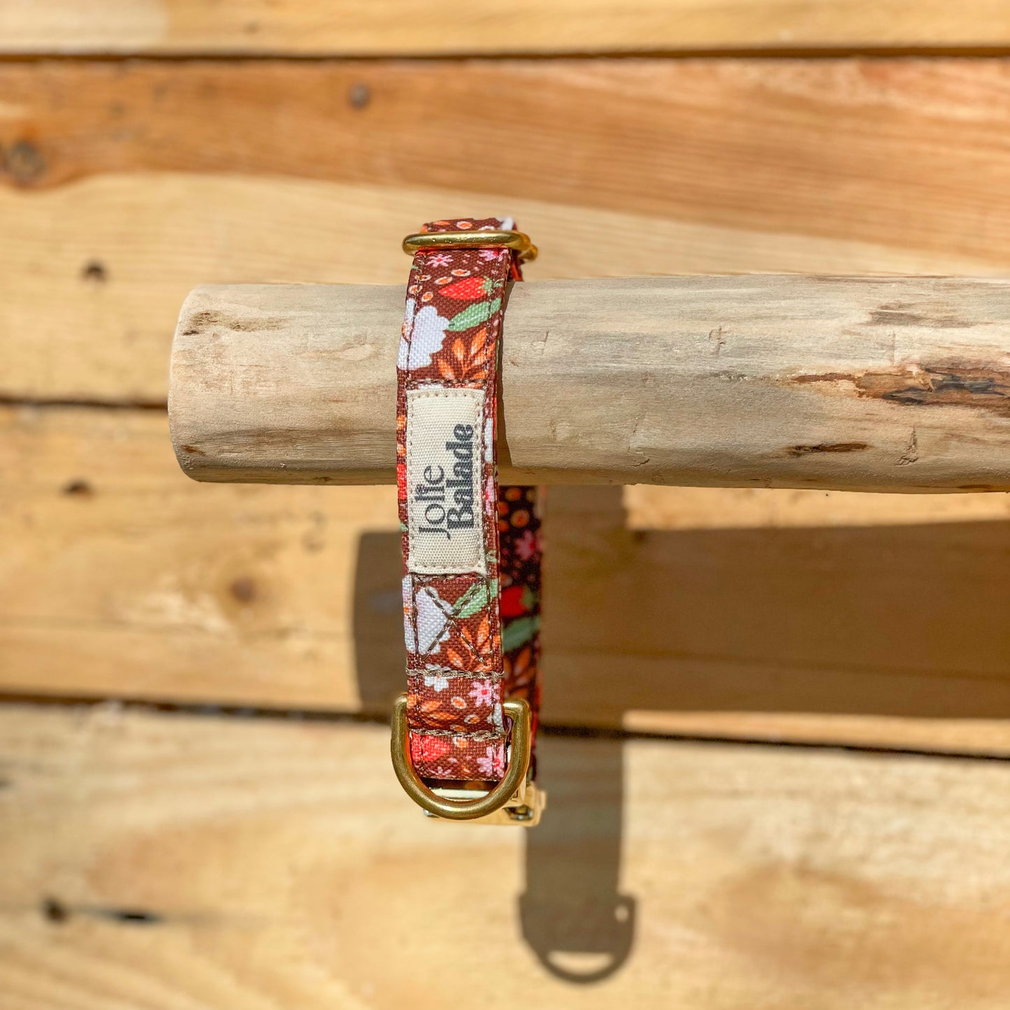 🐶 Collier "FRAISES DES BOIS"