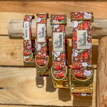 🐶 Collier "FRAISES DES BOIS"