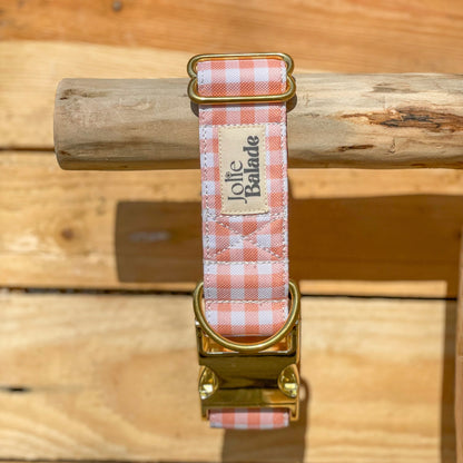 🐶 Collier "VICHY BEIGE"