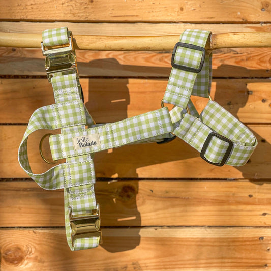 🐶 Harnais "VICHY VERT"