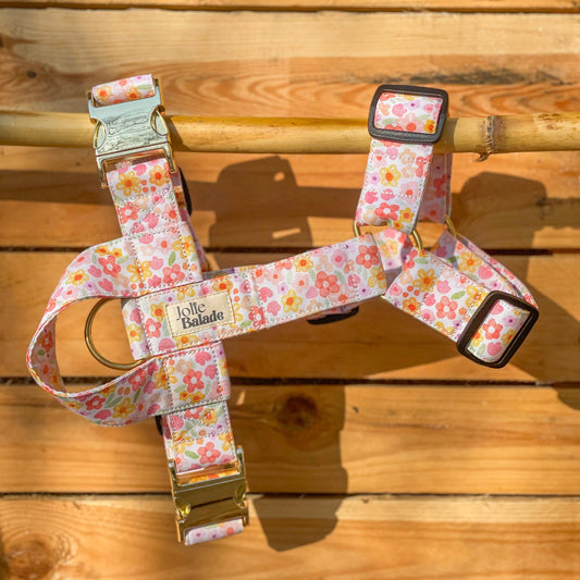 🐶 Harnais "AQUARELLA"