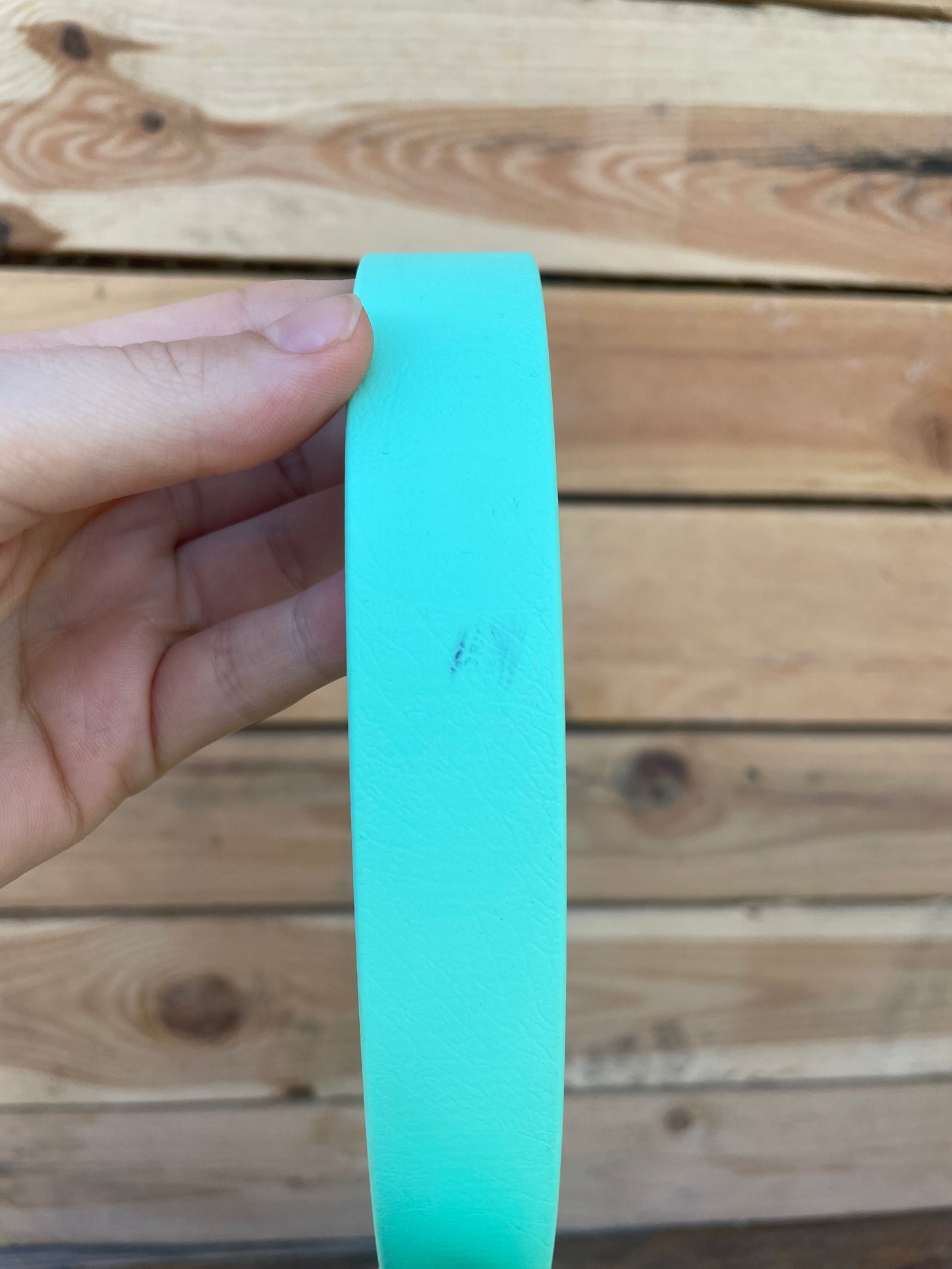 🐶 Biothane Necklace (Mint)