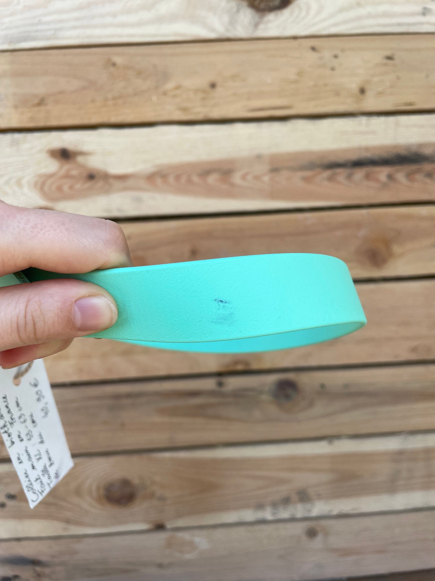 🐶 Biothane Necklace (Mint)