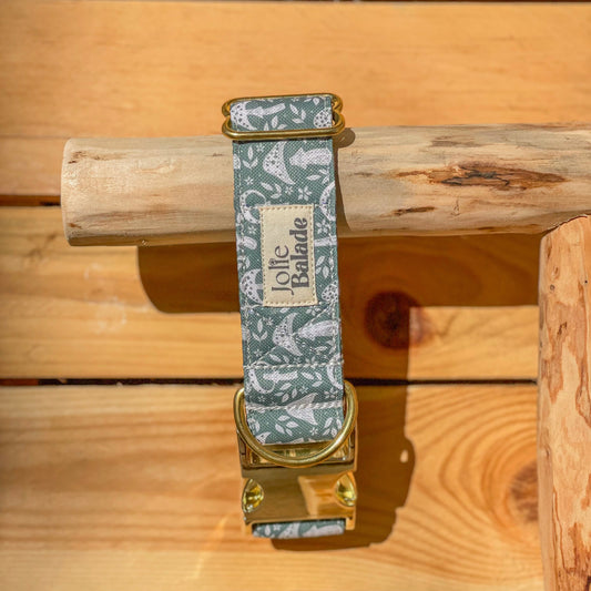 🐶 Collier "CHAMPIGNON"