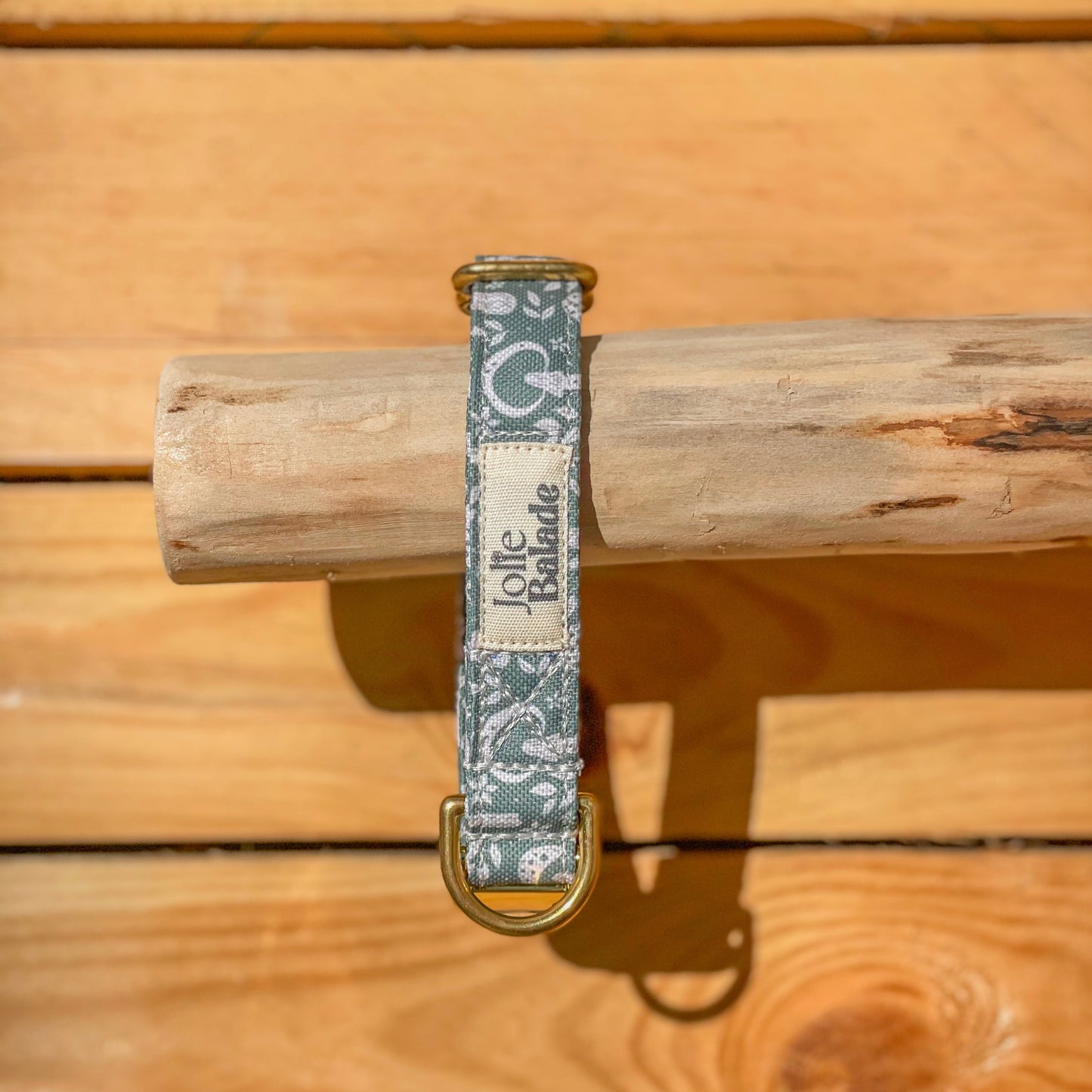 🐶 Collier "CHAMPIGNON"