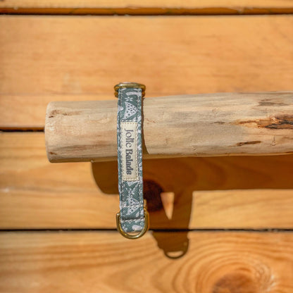 🐶 Collier "CHAMPIGNON"