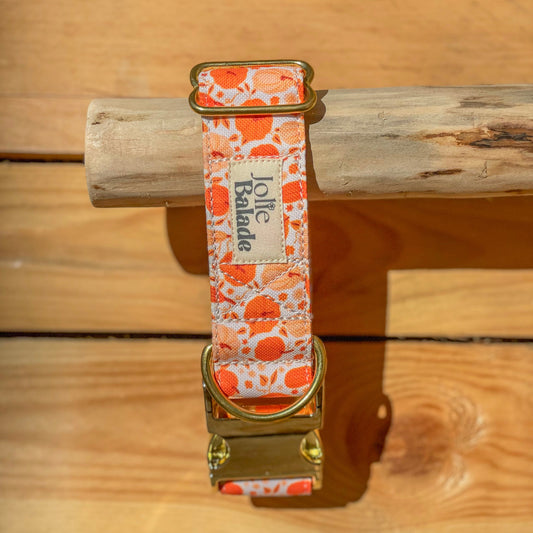 🐶 Collier "CITROUILLE"