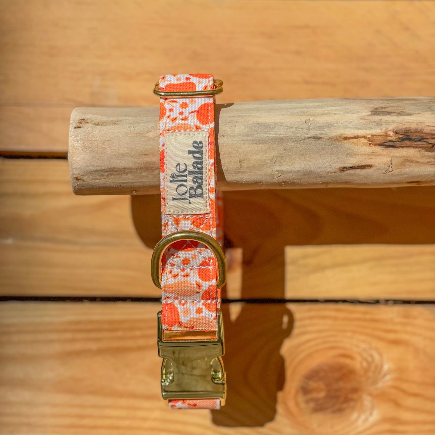 🐶 Collier "CITROUILLE"