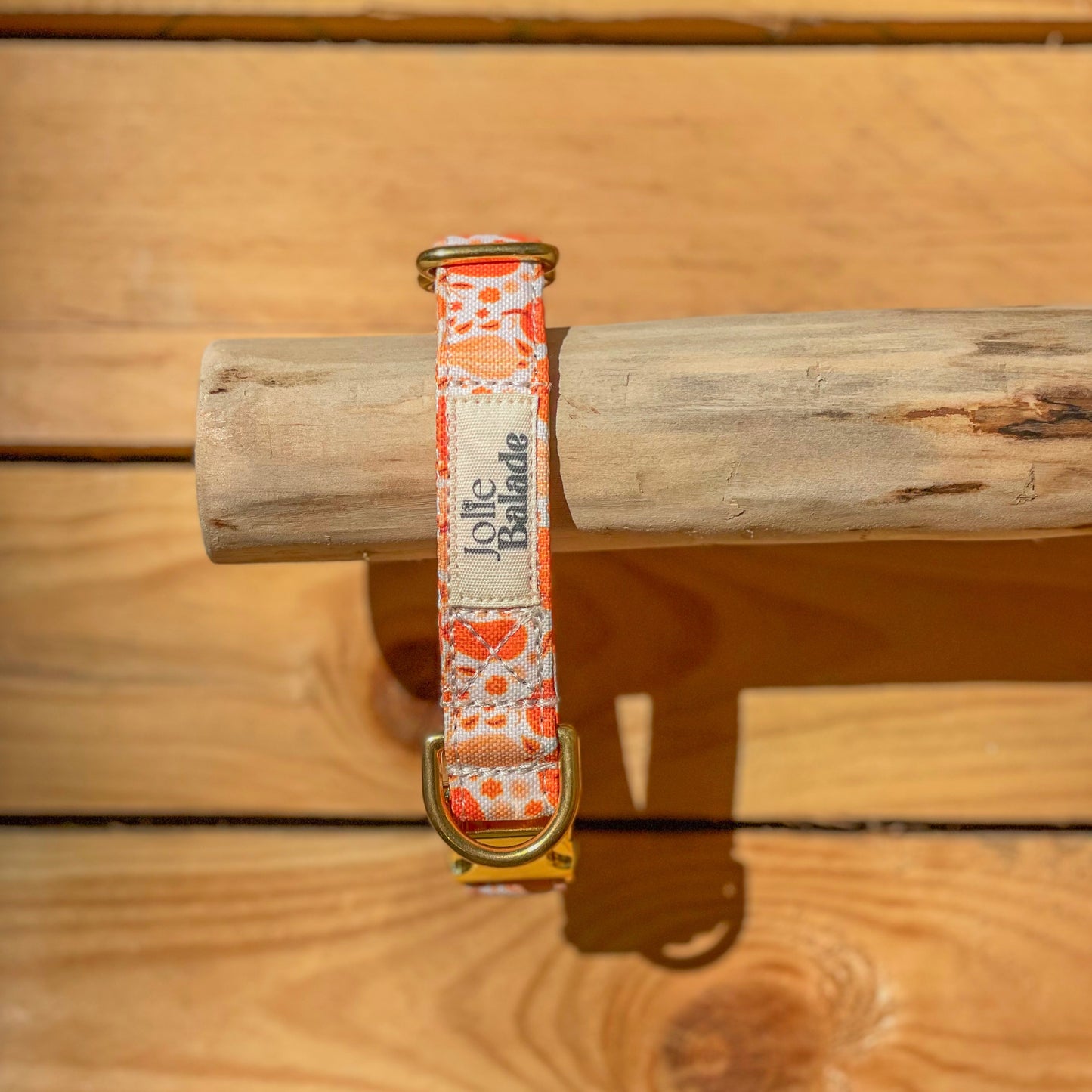 🐶 Collier "CITROUILLE"