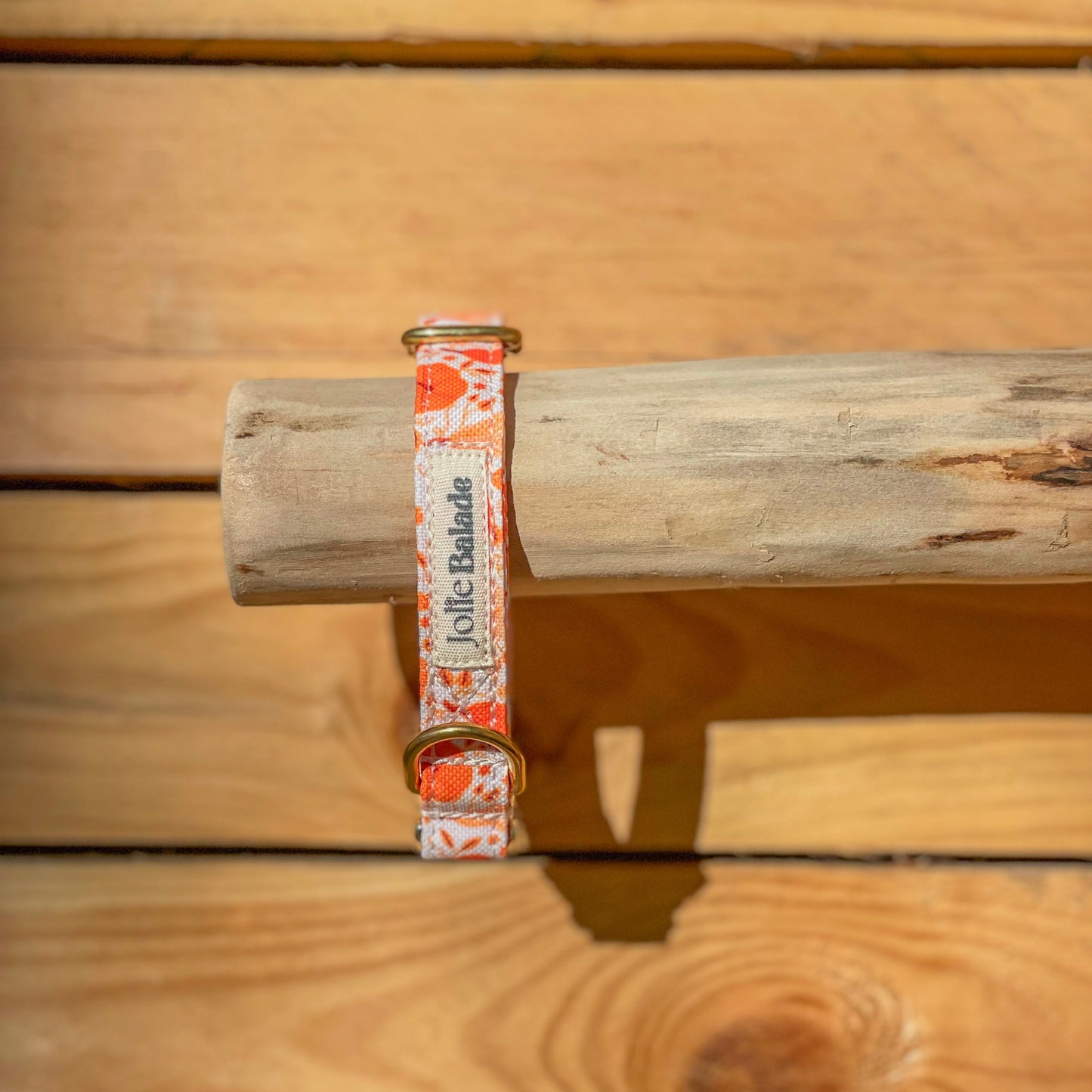 🐶 Collier "CITROUILLE"