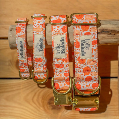 🐶 Collier "CITROUILLE"