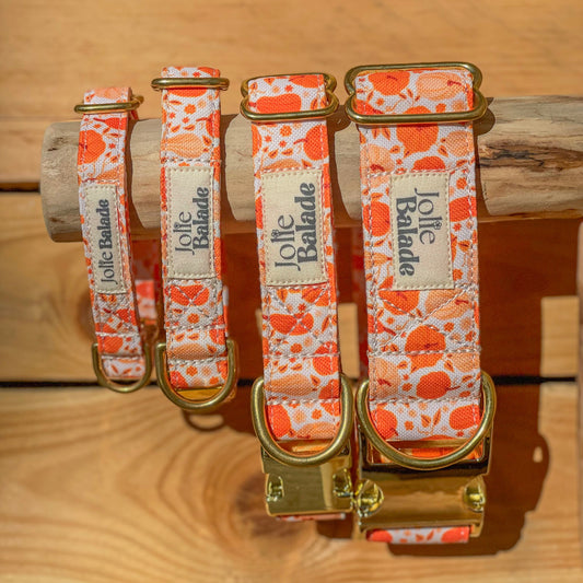 🐶 Collier "CITROUILLE"