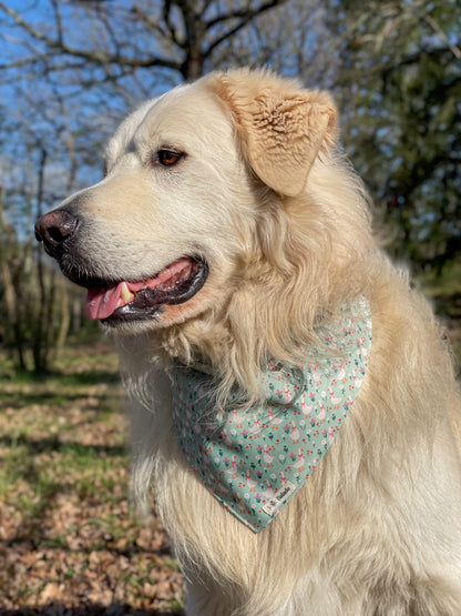Bandana à glisser - OIES