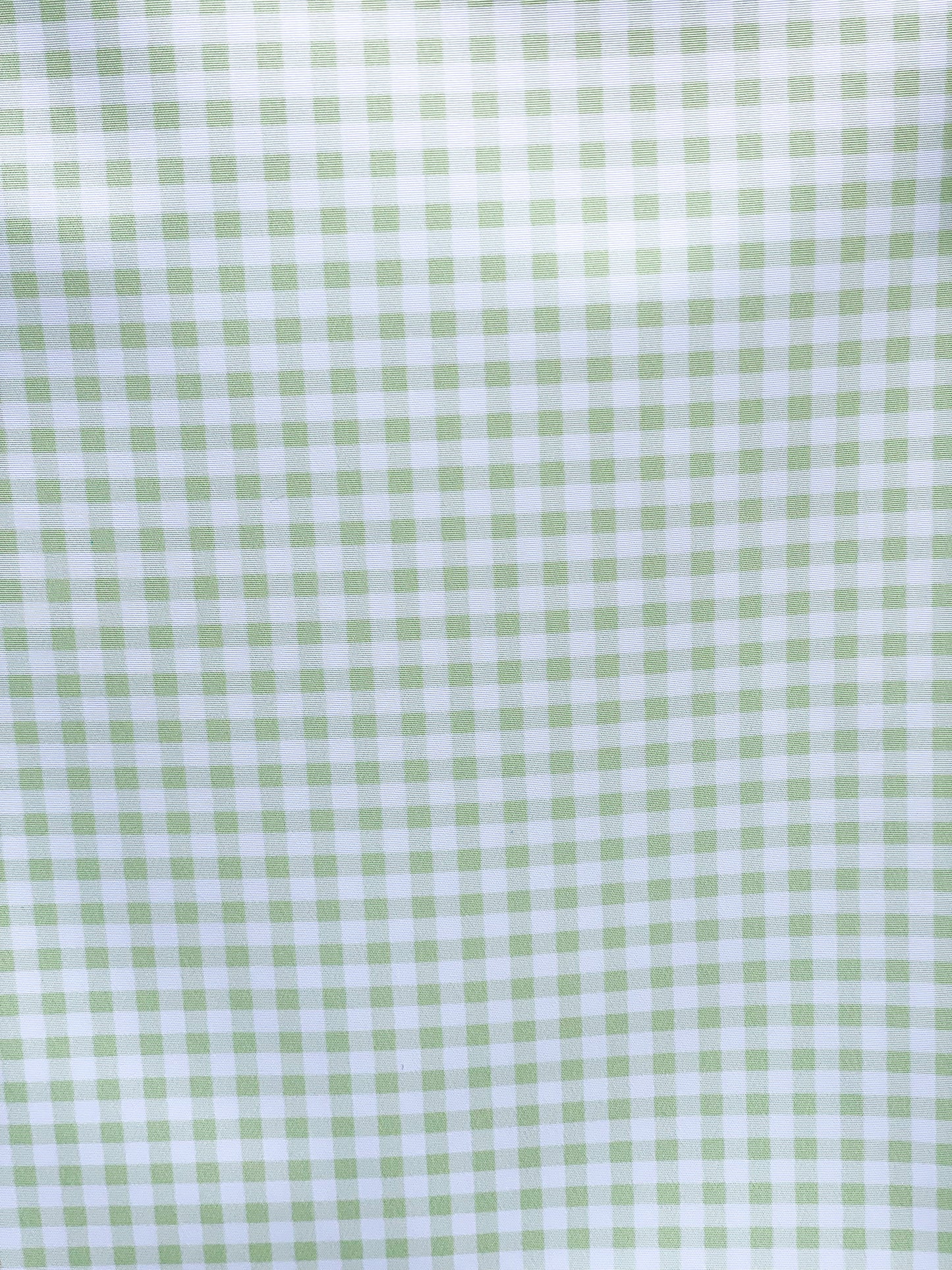 🐶 Laisse multiposition 3 points VICHY VERT PASTEL