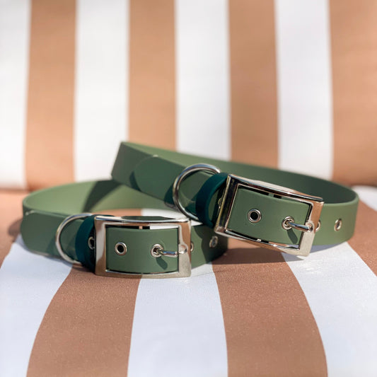 🐶 Collier en Biothane (Sauge)