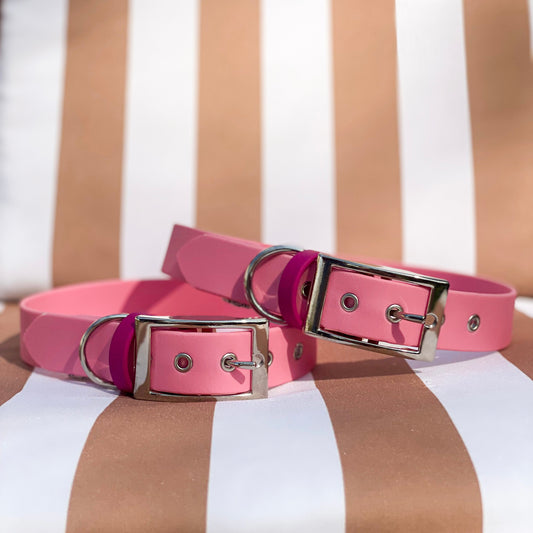 🐶 Collier en Biothane - Rose (Défaut)