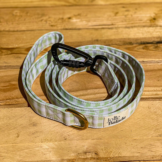 🐶 Laisse "VICHY VERT PASTEL"
