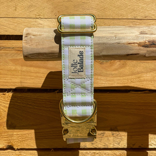 🐶 Collier "VICHY VERT PASTEL"