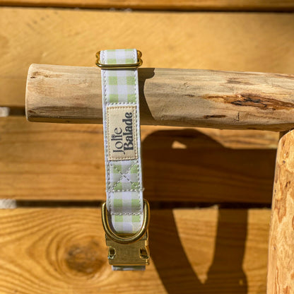 🐶 Collier "VICHY VERT PASTEL"