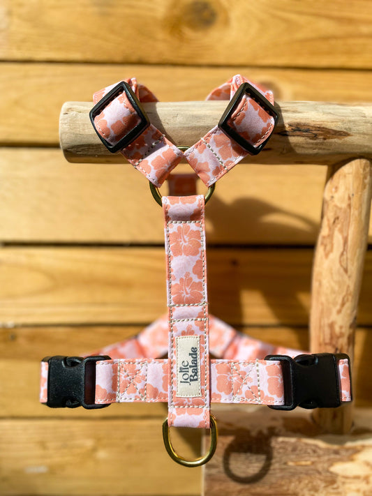 🐶 Harnais "HAWAÏ CORAIL"