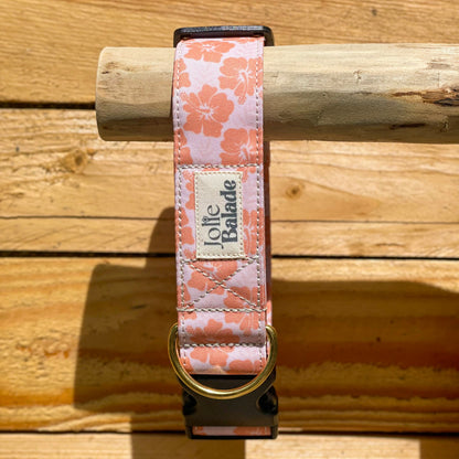 🐶 Collier "HAWAÏ CORAIL"