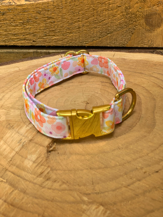🐶 Collier "AQUARELLA"