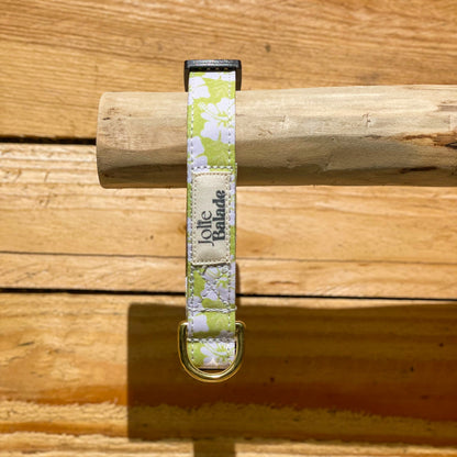 🐶 Collier "HAWAÏ VERT"