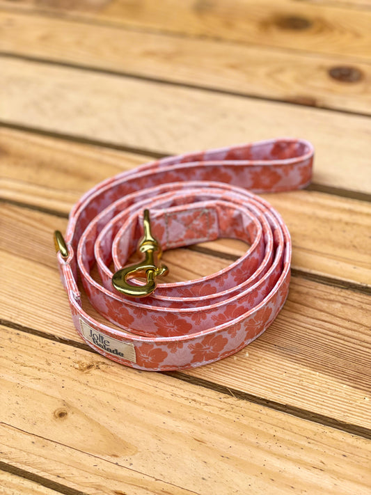 🐶 Laisse "HAWAÏ CORAIL"