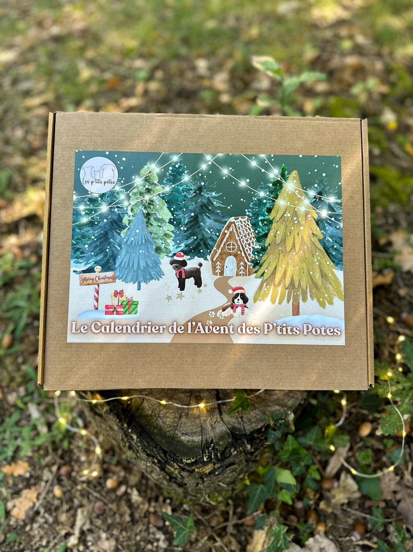 🐶🎄 Calendrier de l’Avent Les P’tits Potes