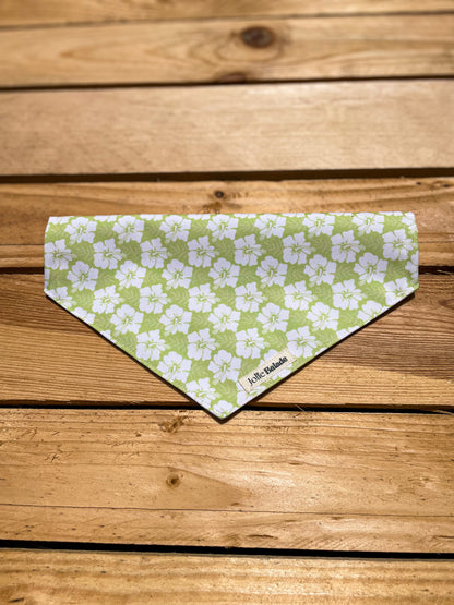 Bandana a glisser - HAWAÏ VERT