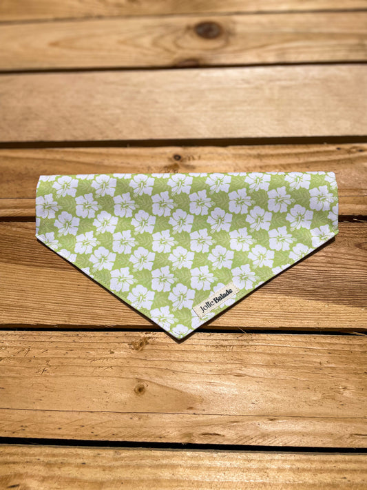 Bandana à glisser - HAWAÏ VERT
