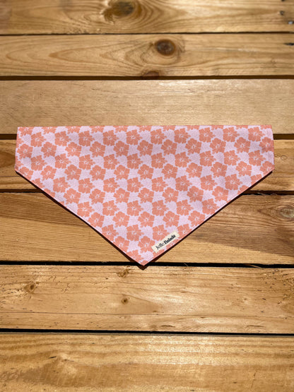 Bandana a glisser - HAWAÏ CORAIL