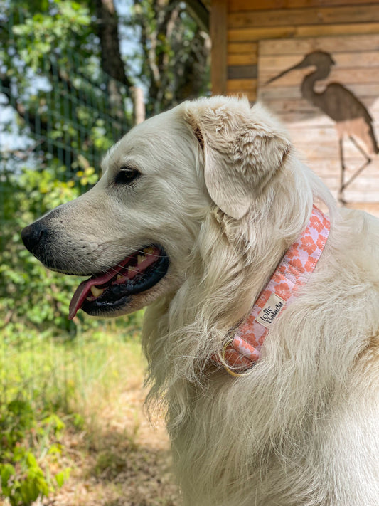 🐶 Collier Martingale HAWAÏ CORAIL