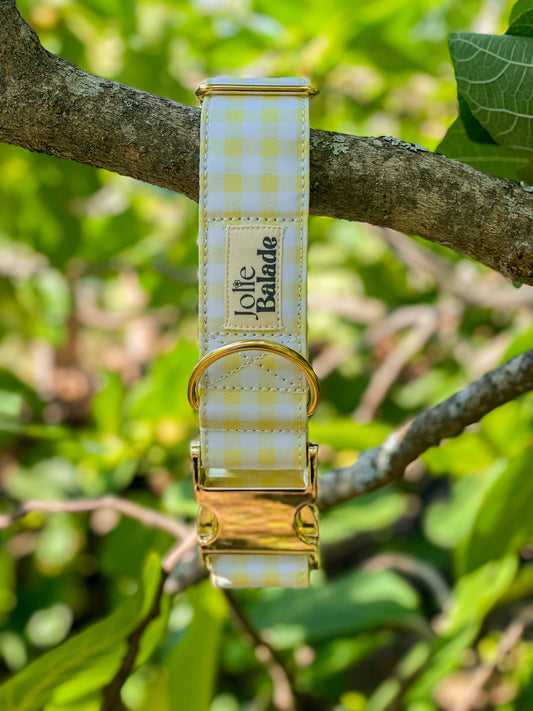 🐶 Collier "VICHY JAUNE PASTEL"