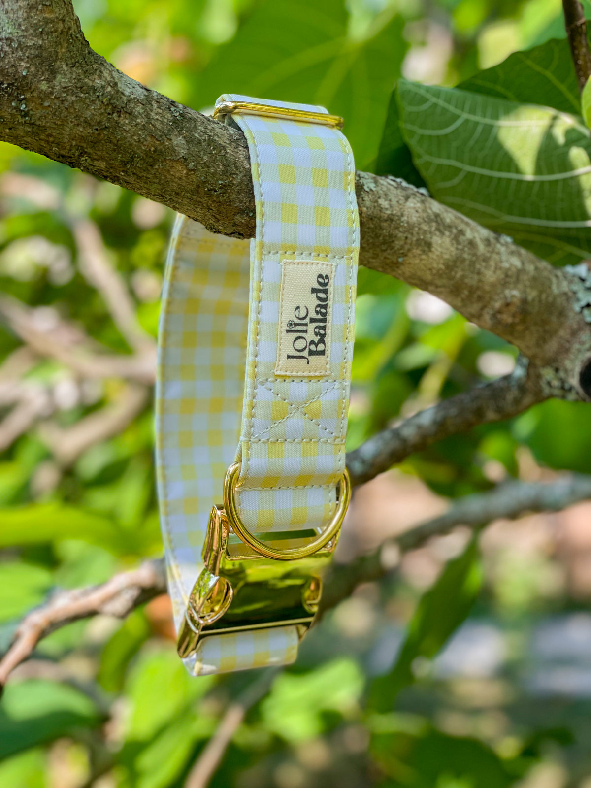 🐶 Collier "VICHY JAUNE PASTEL"