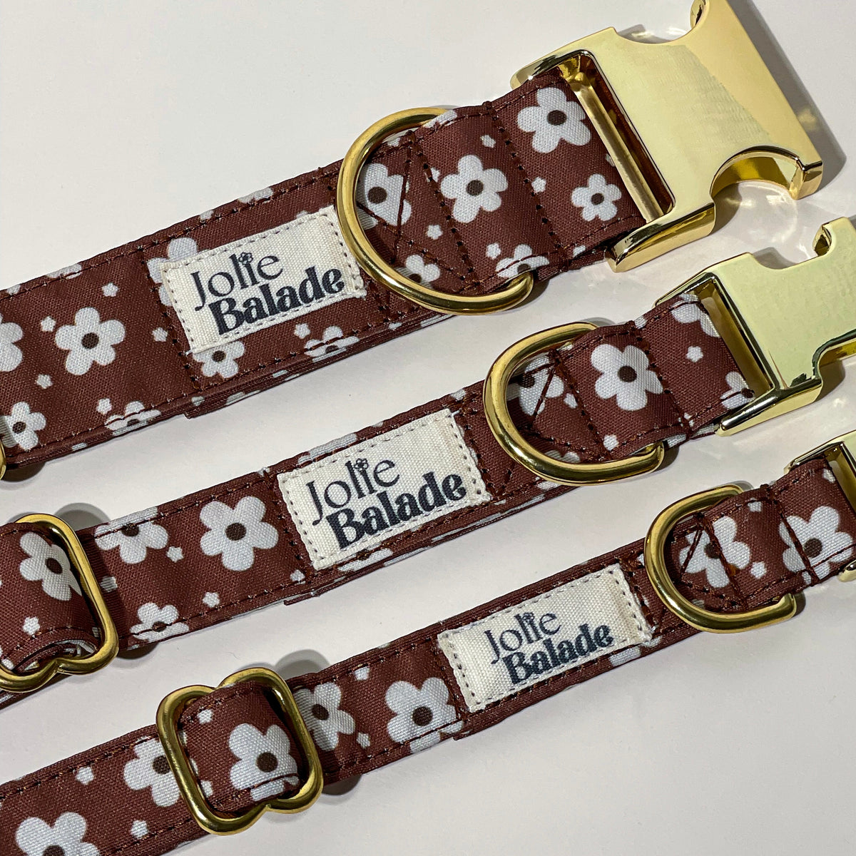 🐶 Collier " BROWNIE " pour chien