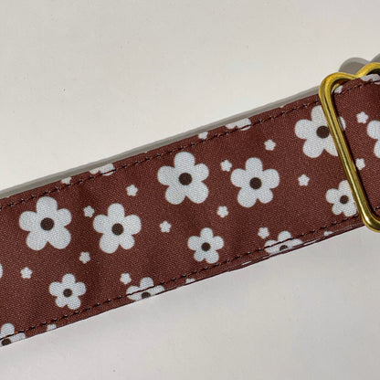 🐶 Collier " BROWNIE " pour chien