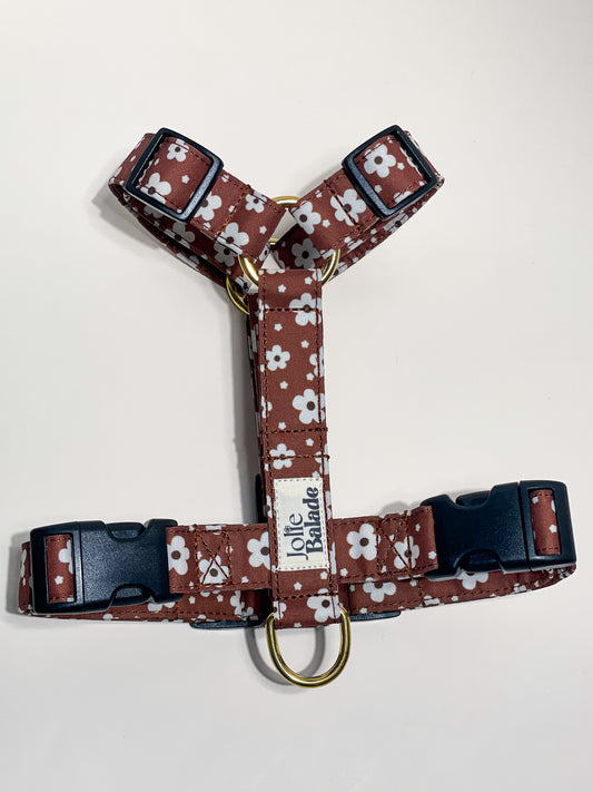 Harnais "BROWNIE" pour chien