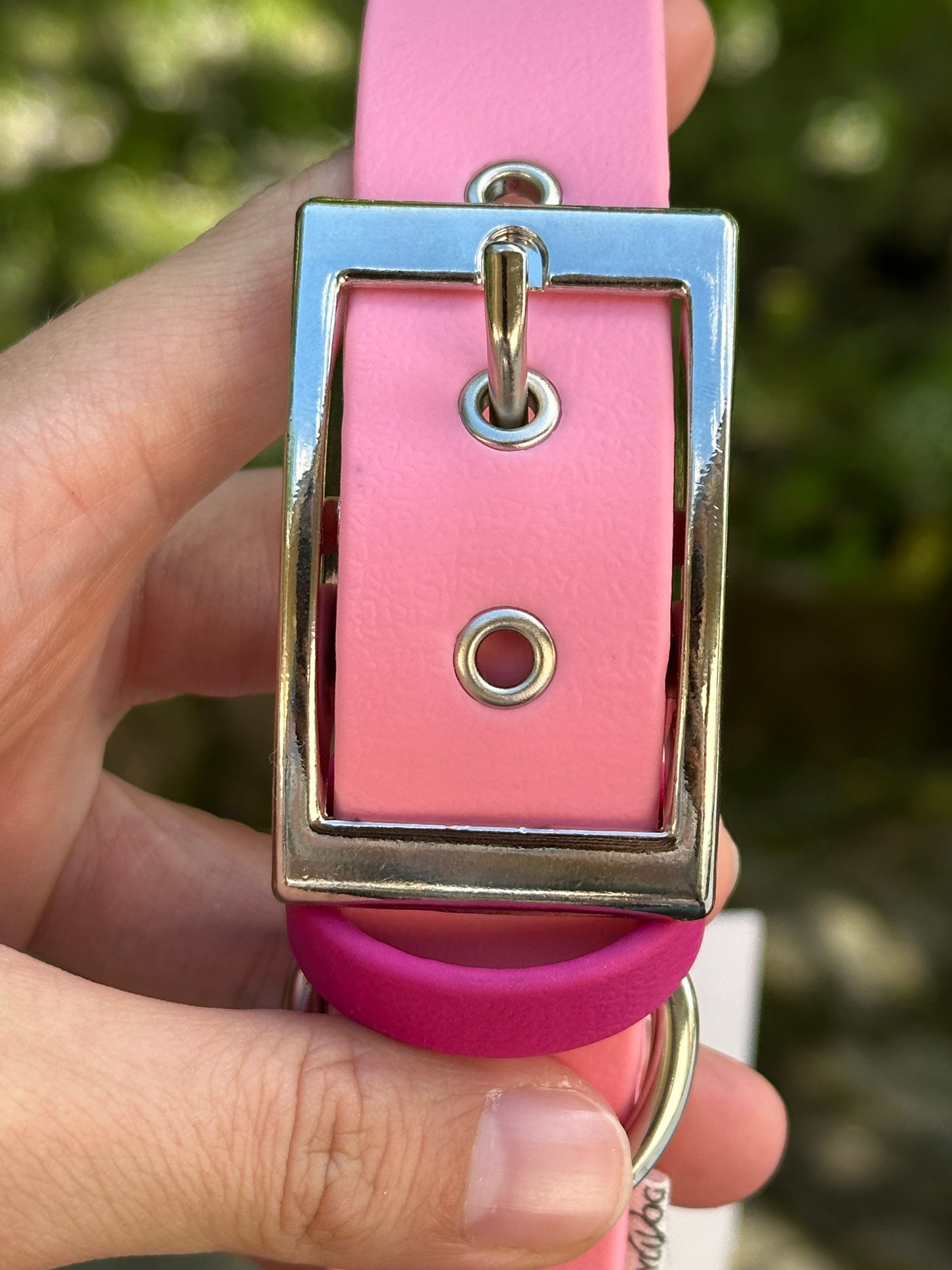 🐶 Collier en Biothane - Rose (Défaut)