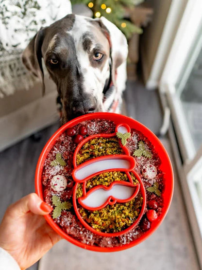🐶 Gamelle anti-glouton Père Noël