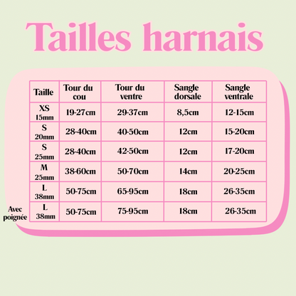 Harnais "VICHY BLEU PASTEL"