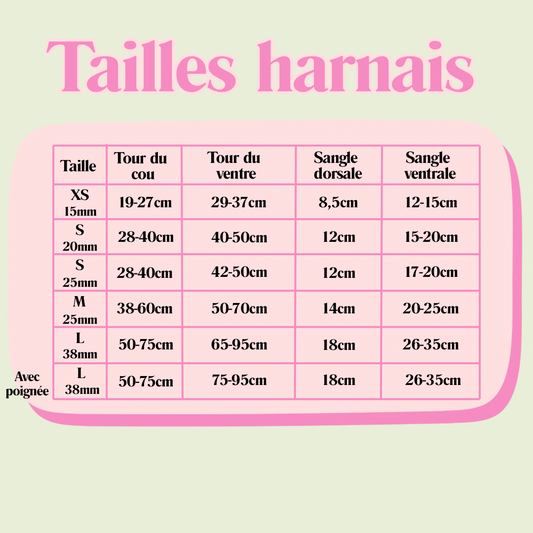 Harnais "OIES"