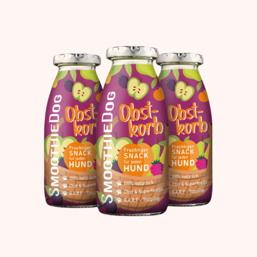 🐶 Smoothie aux fruits pour chien