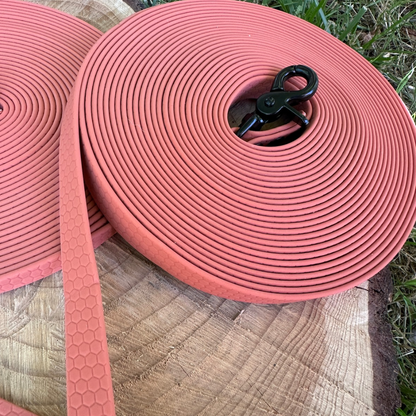 🐶 Longe imperméable pour chien (10 m)