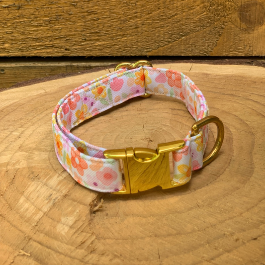 🐶 Collier "AQUARELLA"