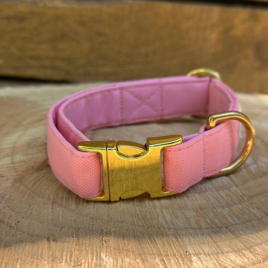 🐶 Collier en tissu imperméable pour chiens – Jolie Balade