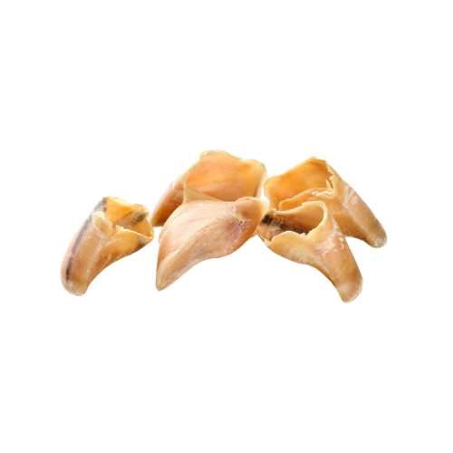 🐶 Sabots de veau pour chien