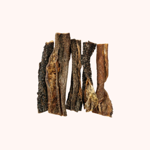 🐶 Panses de chameau pour chien