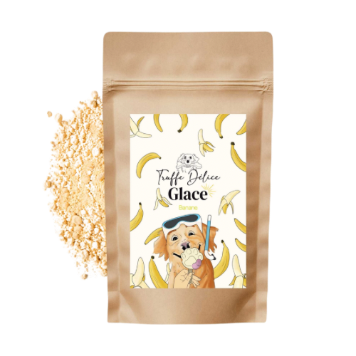 🐶 Glaces pour chien 🍦❄️